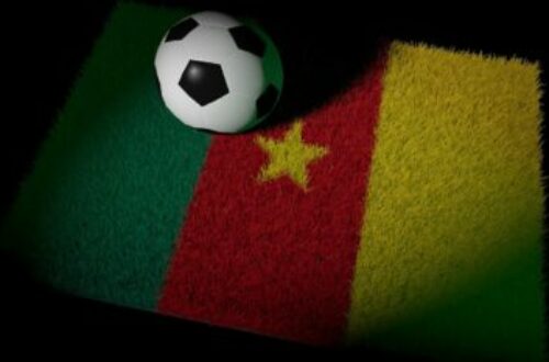 Article : Cameroun Vs Serbie: Quel match rocambolesque !