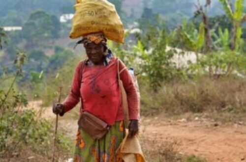 Article : Cameroun :  Bilan de 40 années de détournements de fonds en toute impunité