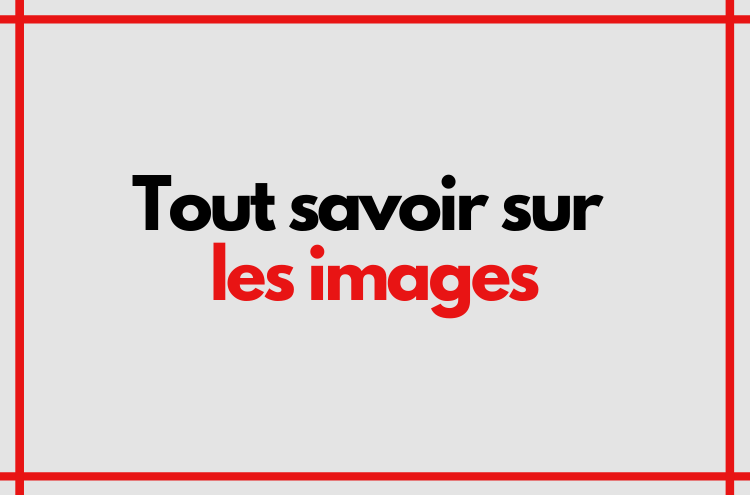 Article : Tout savoir sur les images