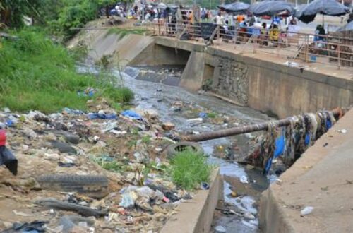 Article : Sachets plastiques non biodégradables interdits au Bénin, où en est-on ?