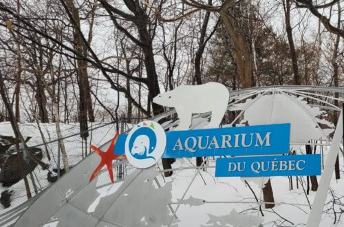 Article : L’Aquarium du Québec : une invitation à la protection de la vie sous-marine
