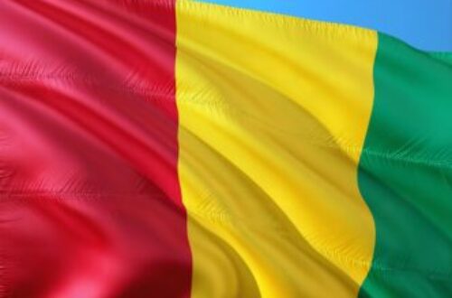 Article : Comment valoriser l’image de la Guinée au-delà d’un simple logo ?