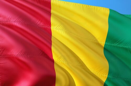Article : Comment valoriser l’image de la Guinée au-delà d'un simple logo ?