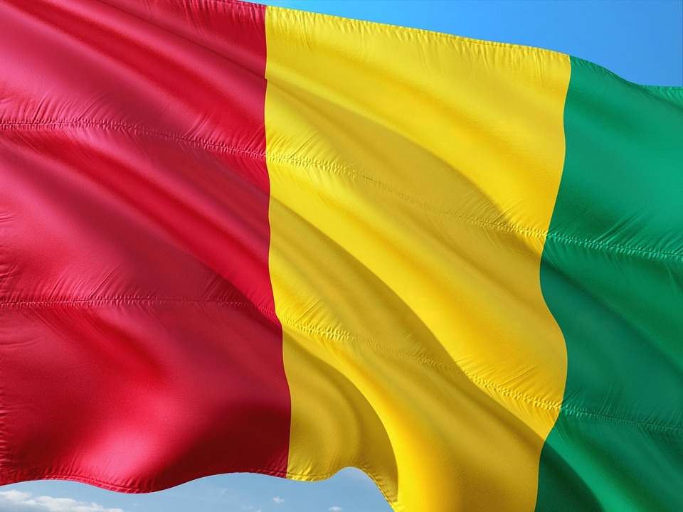 Article : Comment valoriser l’image de la Guinée au-delà d’un simple logo ?