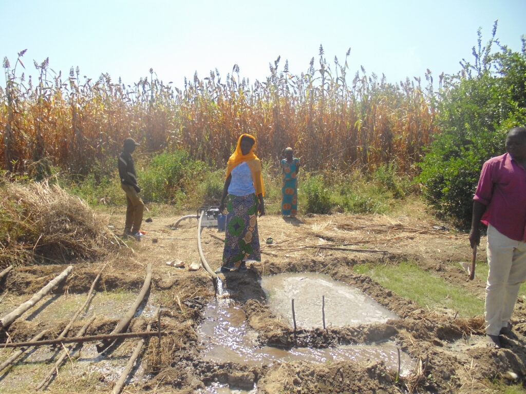 Article : Bassin du Lac Tchad : s’adapter pour survivre, malgré les conditions climatiques de plus en plus difficiles