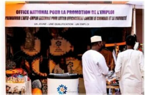 Article : Tchad : la culture entrepreneuriale dans les programmes scolaires pour résorber le chômage des jeunes ?