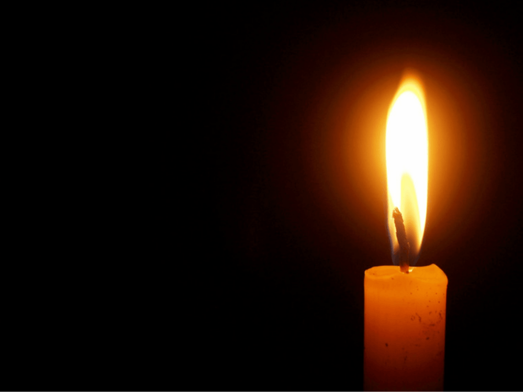 Article : Perte et compassion