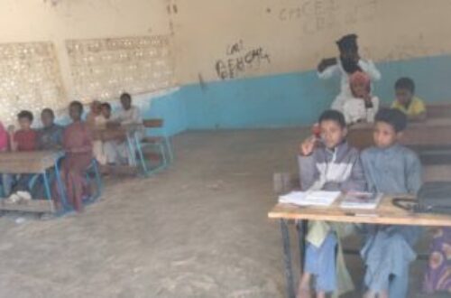 Article : Tchad: le système éducatif au bord du gouffre ?