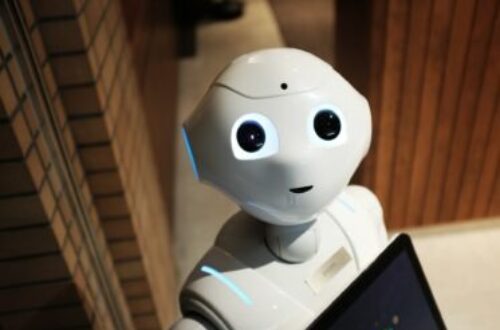 Article : Haro sur les intelligences artificielles ?
