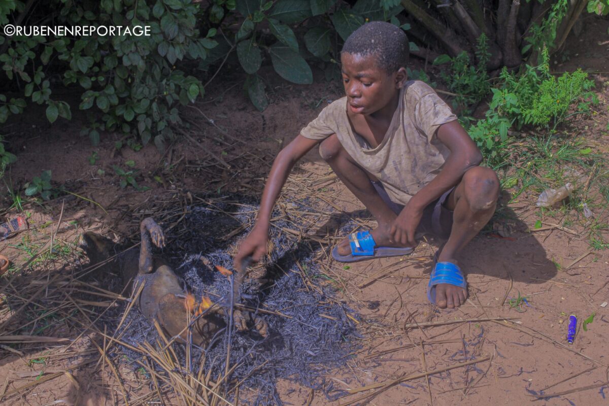 Article : La viande de chien des Baluba du Kasaï, une exception culturelle où les hommes prennent les rênes de la cuisine