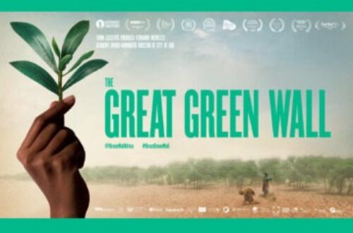 Article : La Grande muraille verte : un mur contre la désertification