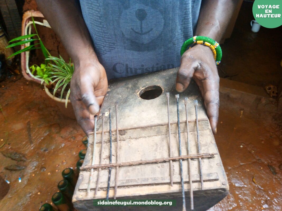 Article : Découverte de La Forêt Sacrée : un espace culturel et touristique unique à Yaoundé