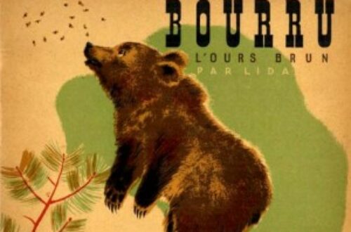 Article : Bourru, l’ours berlinois