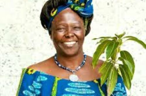 Article : Journée mondiale de l’environnement : In memoriam Wangari Maathai