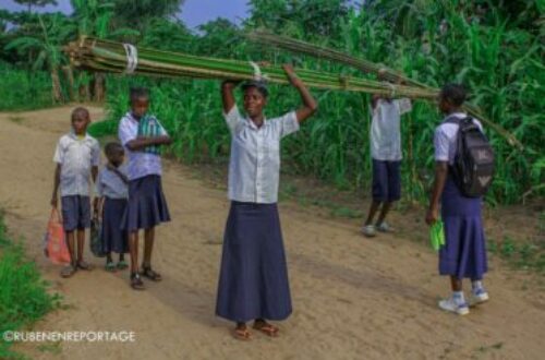 Article : Des élèves congolais impliqués dans des travaux difficiles pour soutenir leurs enseignants