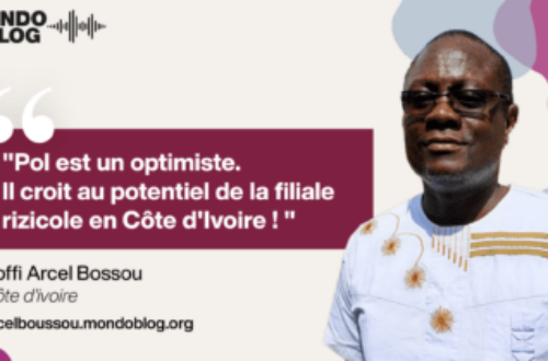 Article : Koffi Arcel Bossou : Pol et « l’offensive riz » en Côte d’Ivoire