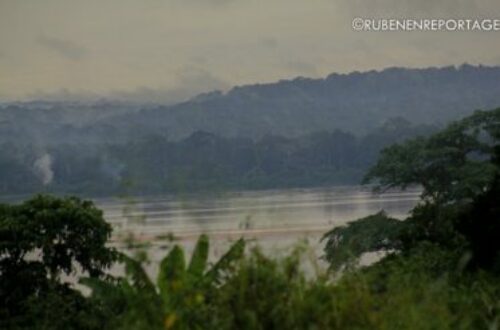 Article : Entre la cité et la forêt équatoriale, le quotidien des habitants de Dibaya-Lubwe