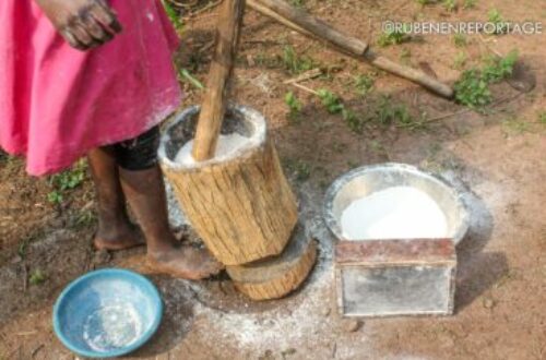 Article : Le mortier et le pilon : Des broyeurs manuels traditionnels pour la transformation de la farine