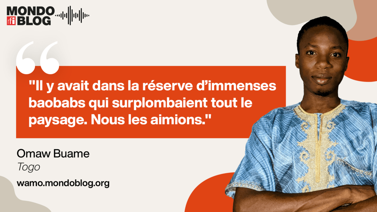 Article : Omaw Buame : Ode aux baobabs