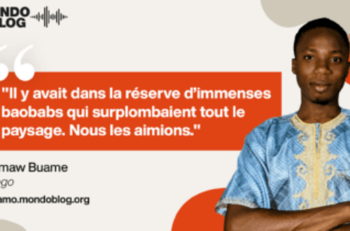 Article : Omaw Buame : Ode aux baobabs