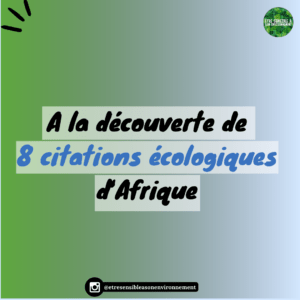 Article : À la découverte de huit citations écologiques de héros africains