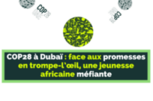 Article : COP28 à Dubaï : face aux promesses en trompe-l’œil, une jeunesse africaine méfiante