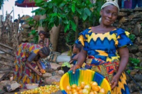 Article : Des Diamants Aux Denrées : Le Choix de l'Agriculture Contre l'Insécurité Alimentaire en RDC