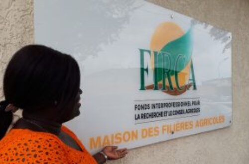 Article : Le Firca s’engage à numériser des services agricoles en Côte d’Ivoire