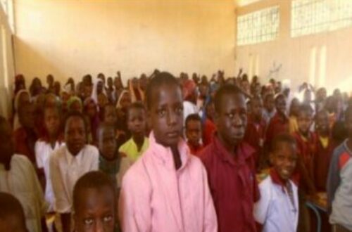 Article : Tchad : Un appel à réformer le système éducatif de l’enseignement primaire