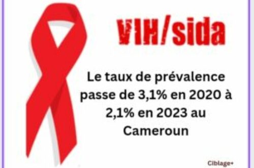 Article : Cameroun : le taux de prévalence du VIH/SIDA en baisse