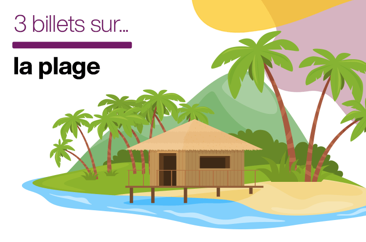 Article : La plage