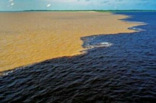Article : Voyage à Bafoulabé : là où les fleuves se rencontrent et où repose Mali Sadio