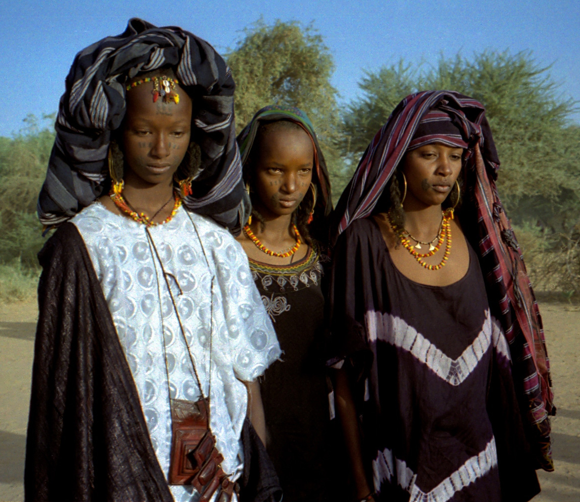 Polygamy women niger