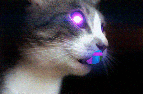 Archives Des Chat Mondoblog Mondoblog